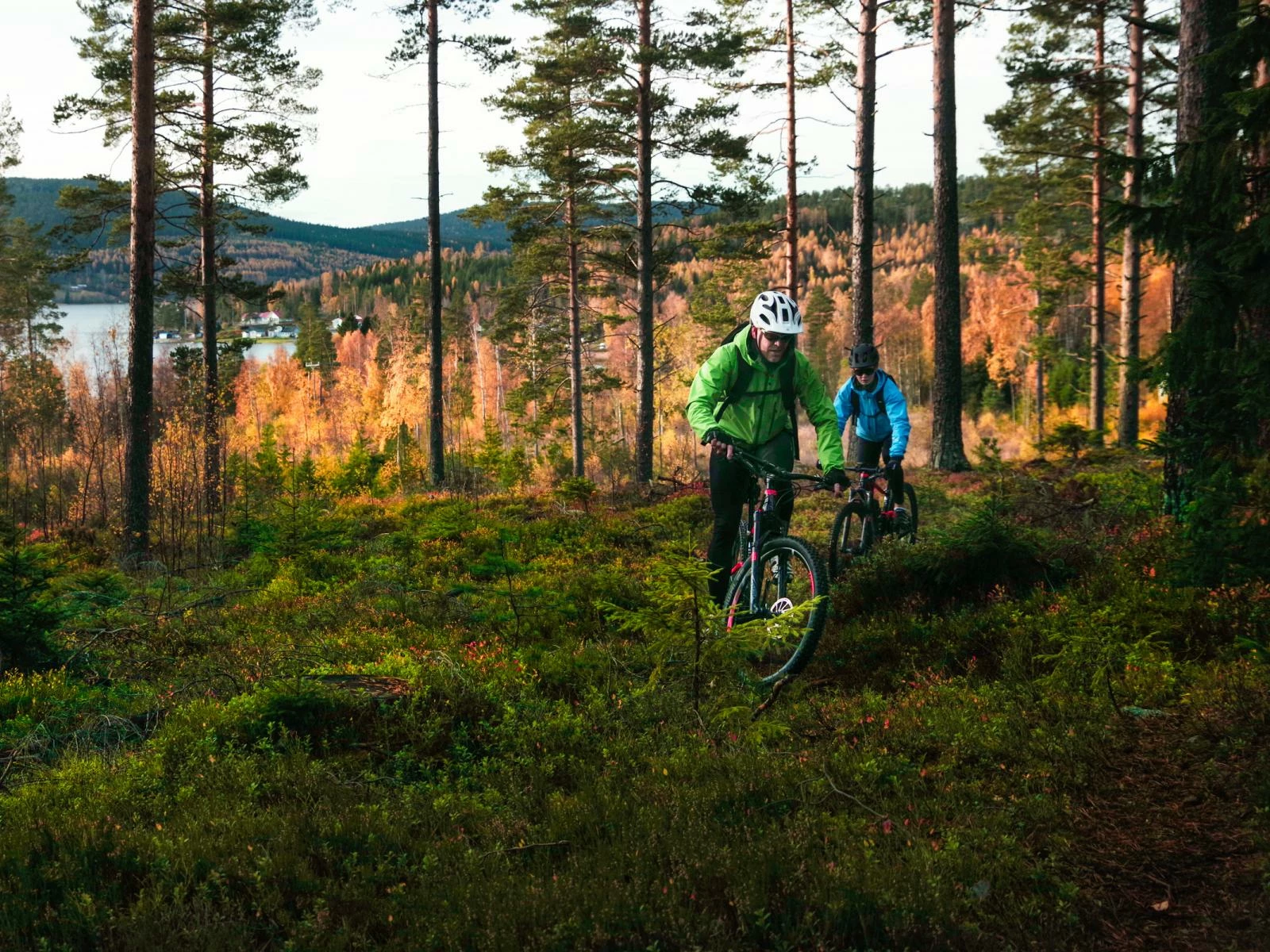 Rennräder Verkaufsladen 2 Rennräder Verkaufsladen -Rennräder Verkaufsladen 12
